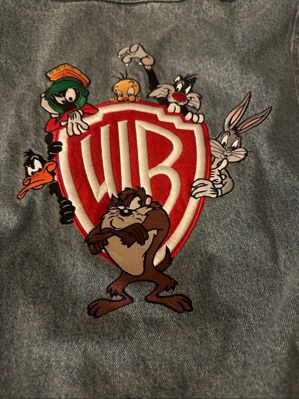 Warner Bros. Embroidered Looney Tunes Denim jacket Men/Women